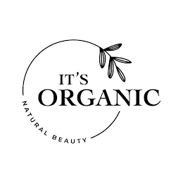 IT'S ORGANIC NATURAL BEAUTY logo