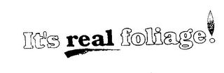 IT'S REAL FOLIAGE logo
