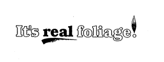 IT'S REAL FOLIAGE! logo