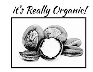 IT'S REALLY ORGANIC! logo