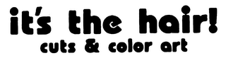 IT'S THE HAIR! CUTS & COLOR ART logo