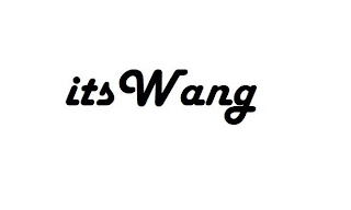 ITS WANG logo