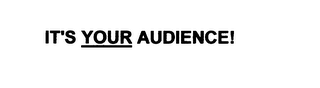 IT'S YOUR AUDIENCE! logo