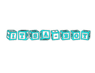ITSA-BOY logo