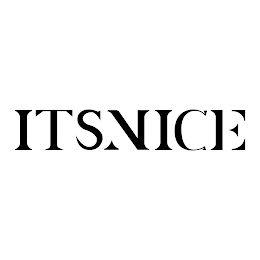ITSNICE logo