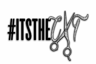 #ITSTHECT logo