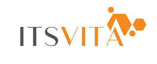 ITSVITA logo