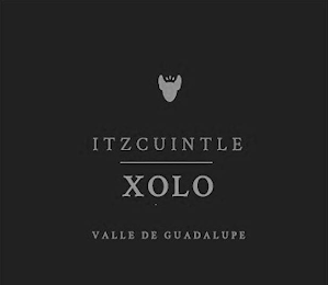 ITZCUINTLE XOLO VALLE DE GUADALUPE logo