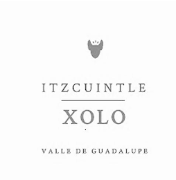 ITZCUINTLE XOLO VALLE DE GUADALUPE logo