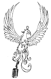 IV logo