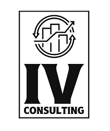 IV CONSULTING