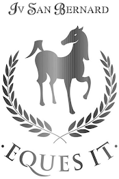 IV SAN BERNARD ED EQUES IT logo