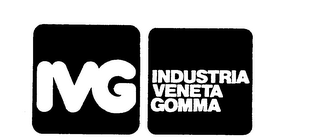 IVG INDUSTRIA VENETA GOMMA logo