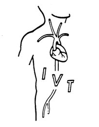 IVT logo