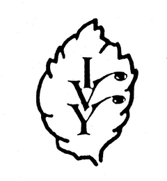 IVY logo