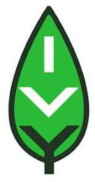 IVY logo