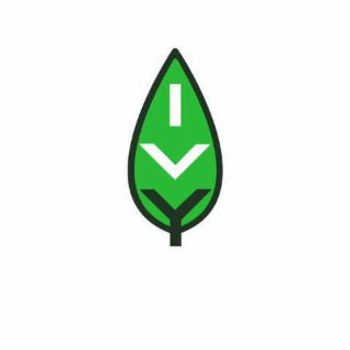 IVY logo