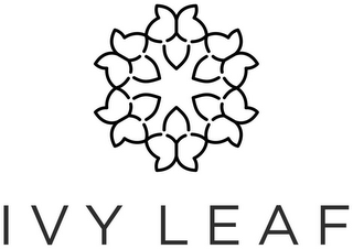 IVY LEAF logo