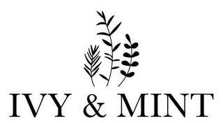 IVY & MINT logo
