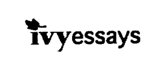 IVYESSAYS logo