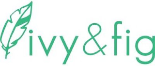 IVY&FIG