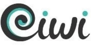 IWI logo