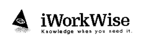 IWORKWISE KNOWLEDGE WHEN YOU NEED IT. logo