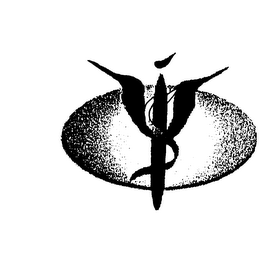 IWS logo