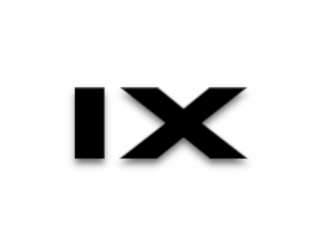 IX logo