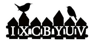 IXCBYUV logo