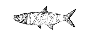 IXOYE logo