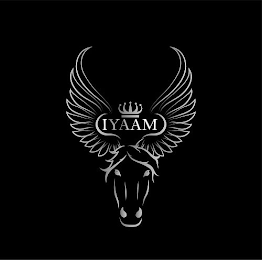 IYAAM logo
