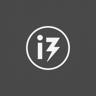 IZ logo
