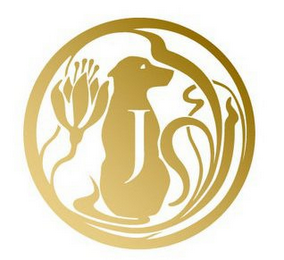 J logo