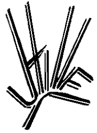 J HILLE logo
