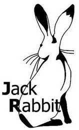 JACK RABBIT logo