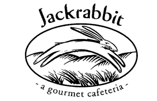 JACKRABBIT logo