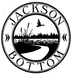 JACKSON BOTTOM logo