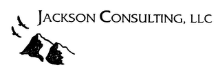 JACKSON CONSULTING, LLC logo