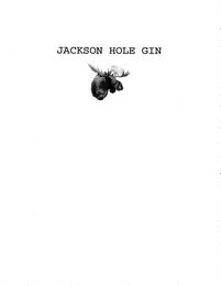 JACKSON HOLE GIN logo