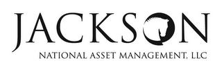 JACKSON NATIONAL ASSET MANAGEMENT, LLC logo