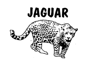 JAGUAR logo