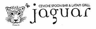 JAGUAR CEVICHE SPOON BAR & LATAM GRILL logo