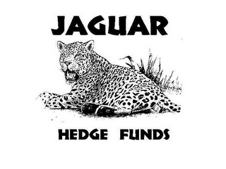 JAGUAR HEDGE FUNDS logo