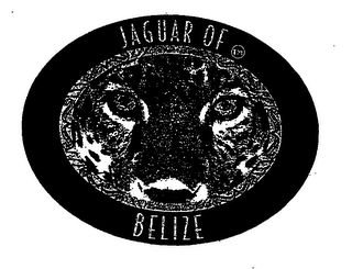 JAGUAR OF BELIZE logo