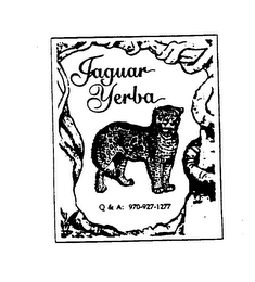 JAGUAR YERBA logo