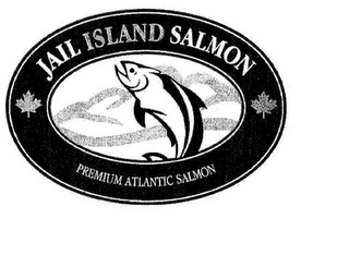 JAIL ISLAND SALMON PREMIUM ATLANTIC SALMON logo