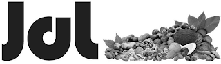JAL logo