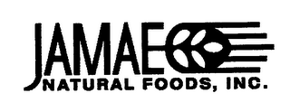 JAMAE NATURAL FOODS, INC. logo
