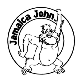 JAMAICA JOHN INC. logo